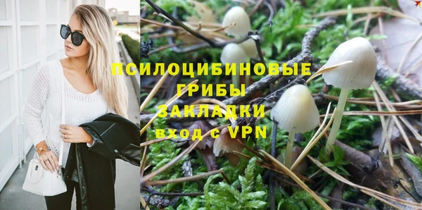 spice Михайлов