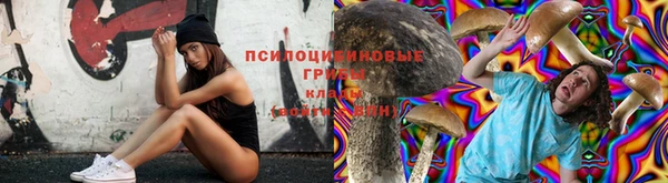 spice Михайлов