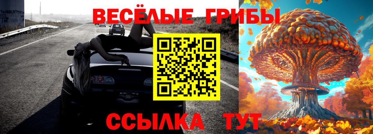 Дзержинск  Псилоцибиновые грибы Cubensis  Галлюциногенные грибы GOLDEN TEACHER  Вход с VPN 